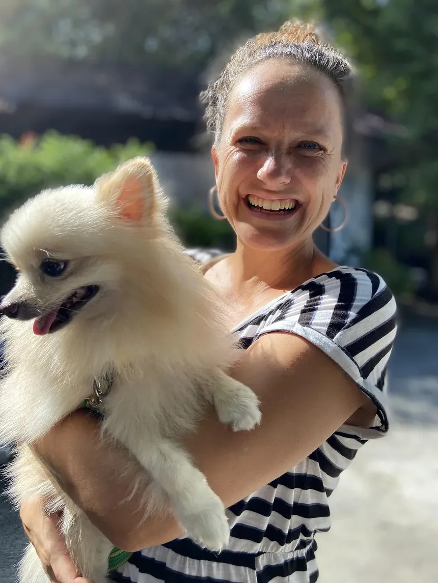 Como Viajar com Seu Cachorro com Segurança: Guia Completo para Donos de Animais de Estimação
