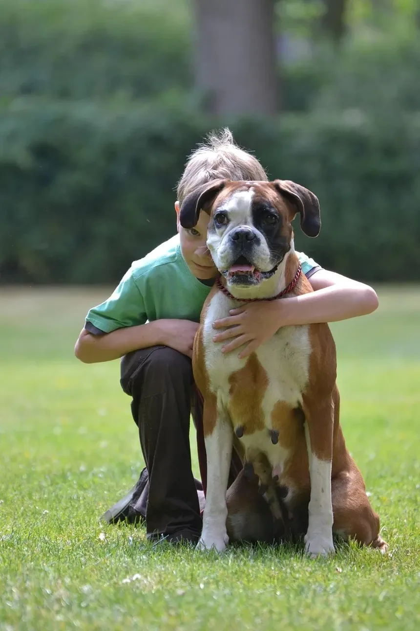 Por que o meu cão ladra à noite? 6 causas e soluções